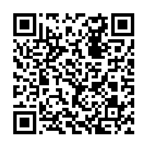 将自己的左臂连同臂上缠绕着的碧绿小蛇一剑斩断二维码生成