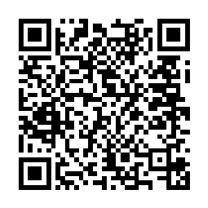 将自己的特质以及专长还有各种技能都告诉了马文二维码生成