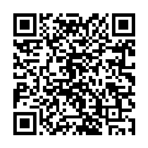 将自己的生命与其连在了一起……这才吊住了一口气二维码生成