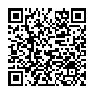 将自己的鲜血滴在了那刚刚孵化出来的土豪金身上二维码生成