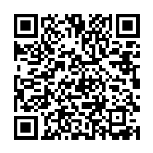 将苗毅在荒古死地那些年积攒下来的俸禄交给了苗毅二维码生成