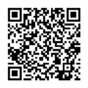 将被掩埋在山石之中的大道花和虚云花给挪移了出来二维码生成