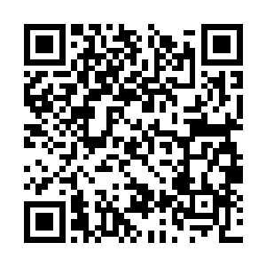 将要胜利的人到最后之所以会输就是因为话太多了二维码生成