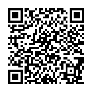 将视线从安雅琳消失的地方转到了主宰者的身上二维码生成