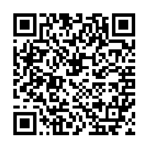 将还呆在宫殿内闭关潜修的星儿公主和月儿公主擒拿了上来二维码生成