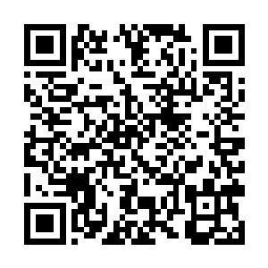 将这一株世界树的子树挪移进小乾坤应该不费什么事二维码生成