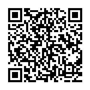 将这一株卧虎草收入自己的囊中……只要东西进了秦方的口袋二维码生成