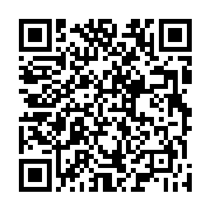 将这一股庞大的力道全部施加在这位神术师柔软的身体上二维码生成