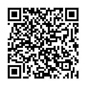 将这两串金星紫檀手串戴在了自己的另外一只手腕上二维码生成