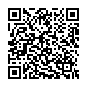 将这些巨型水母的资料传入到了楚旬的脑海之中二维码生成