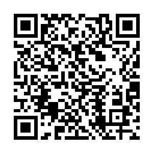 将这些年参与政事的太子等诸多皇子骂得狗血淋头二维码生成