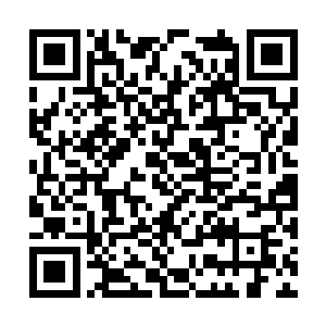 将这些煞龙钉分别钉在了白孟兴的手腕和脚腕上面二维码生成