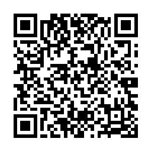 将这位倒霉的偷窥男阿克泰翁硬是变成了一头白唇鹿二维码生成