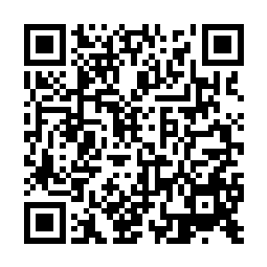 将这头庞然大物带的飞出十几丈远重重的掉在地上二维码生成