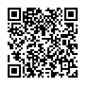 将这巨大几乎如城市一般的仙龙招入了城市的上空二维码生成