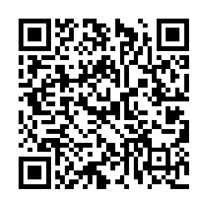 将道三境以下仙民所在的位置定格后就飞上了高空二维码生成