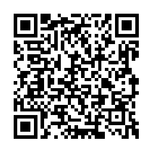 将遵从伟大的先知大祭司厄尔奇达的期望和嘱托二维码生成