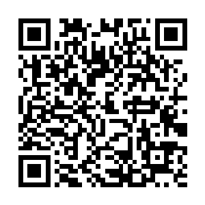 将那一朵血色巨箭都无法摧毁的白莲花直接焚化成灰二维码生成