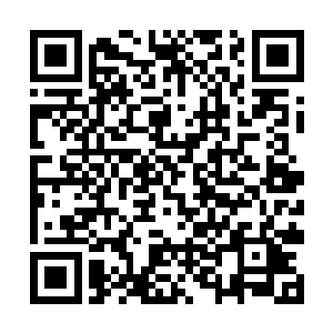 将那一枚巴诺曼海蛇的内丹卷回了海皇波塞冬的手中二维码生成