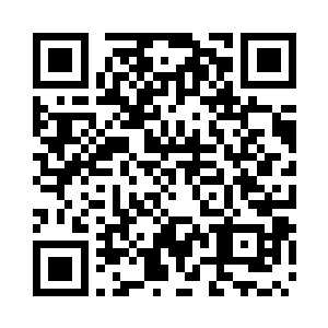 将那些司空月冥砍下来的细树枝收集起来二维码生成