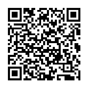 将那些吊在胸墙之后昏过去的女真鞑子一个个都捅死二维码生成