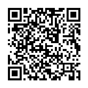 将那些没有进入到混乱森林的妖族和魔族给我杀光二维码生成