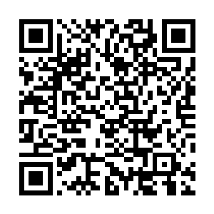 将那些灵魂全部带到了机械族的家乡……一个异元空间中二维码生成