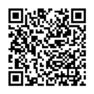 将那几个人加注在她身上的痛十倍百倍的还给他们二维码生成