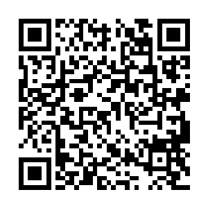 将那条即将重新回到水里的大鱼给死死的压在身下二维码生成