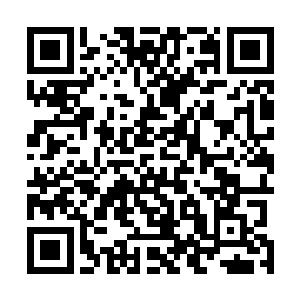 将那片山地用龙巫术变成了森林――至少视觉上是如此的二维码生成