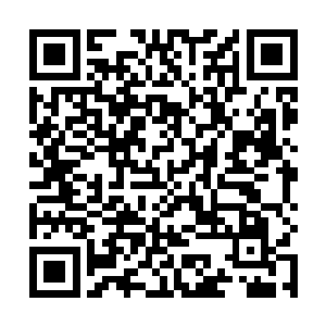 将那种面临绝境却无法反抗的深深绝望展现得无与伦比二维码生成