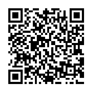 将邵康先前拿在手上观察后又放下的那几块毛料一一的挑出来二维码生成