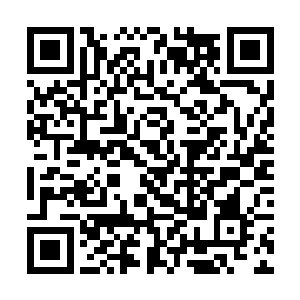 将里面的驾驶员如同躲在洞里的小虫子一样啄了出来二维码生成