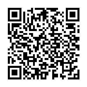 将里面那一颗颜色深红的血珠慢慢摇散放回桌上看了看道二维码生成