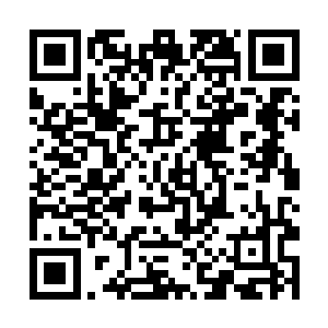 将陈小练脑子里的那股无法压抑的暴戾的仇视和愤怒二维码生成