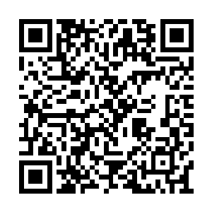 将集邮册里剩下的还算完整的邮票用镊子夹出来二维码生成