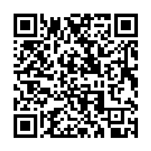 将黑家的蛊仙们都派遣到外界的各个资源地点去镇守二维码生成