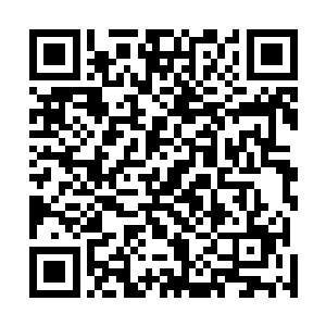 将龟田吉跋和另外一个已经攻到了身前的人给挡在了伞后二维码生成