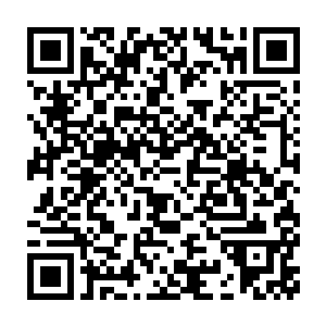 小七在听到暖玉的话的时候这才反应过来暖玉为什么那么对待自己了二维码生成
