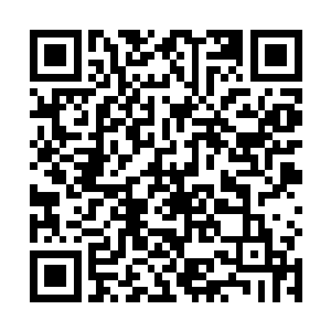 小三很快就将那一条阴枯藤上的空间之力全部吸收干净二维码生成