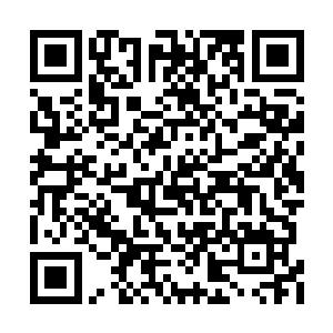 小丘前面就是一条往日太平时直通古北口的道路二维码生成