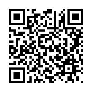 小东西已然默认了刘飞就是他的新主人了二维码生成