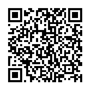 小东西那双如宝石一般的小眼睛里的坚决动摇了起来二维码生成