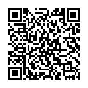 小丫头似乎忘了她老爹曾在眼前公子哥面前长跪不起二维码生成