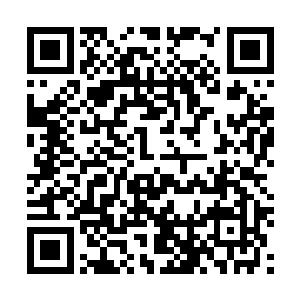 小丫头这会儿伤心死了你好好教育教育他我们家里的孩子二维码生成