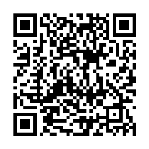 小九是不是故意用这种方式来小小的报复一下六祖二维码生成