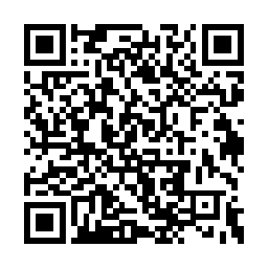 小九直接是一个闪身出现在了前方十里海域之处二维码生成