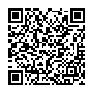 小九这一拳挥下去立刻会出现了一个数十丈的漩涡二维码生成