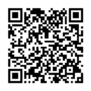 小五同时也将霍君白心中的念想通过灵力散发出去二维码生成