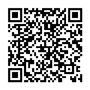 小偷二人组就这么欲哭无泪的被送往了苏杭市第二看守所内二维码生成